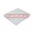 Filtre, air de l'habitacle KAMOKA F412001 - Visuel 1