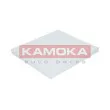 Filtre, air de l'habitacle KAMOKA F412601 - Visuel 1