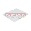 Filtre, air de l'habitacle KAMOKA F412601 - Visuel 3
