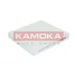 Filtre, air de l'habitacle KAMOKA F412901 - Visuel 1