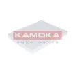 Filtre, air de l'habitacle KAMOKA F413201 - Visuel 3