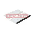 Filtre, air de l'habitacle KAMOKA F413901 - Visuel 1