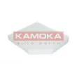 Filtre, air de l'habitacle KAMOKA F414701 - Visuel 2