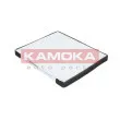 Filtre, air de l'habitacle KAMOKA F415501 - Visuel 3