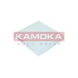 Filtre, air de l'habitacle KAMOKA F420401 - Visuel 1