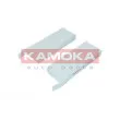 Filtre, air de l'habitacle KAMOKA F421301 - Visuel 1