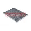 Filtre, air de l'habitacle KAMOKA F500301 - Visuel 2