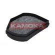 Filtre, air de l'habitacle KAMOKA F500601 - Visuel 1