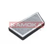 Filtre, air de l'habitacle KAMOKA F501601 - Visuel 1