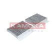 Filtre, air de l'habitacle KAMOKA F502501 - Visuel 1