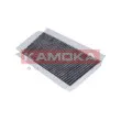Filtre, air de l'habitacle KAMOKA F502601 - Visuel 1