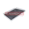 Filtre, air de l'habitacle KAMOKA F502601 - Visuel 2