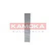 Filtre, air de l'habitacle KAMOKA F503601 - Visuel 1