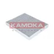 Filtre, air de l'habitacle KAMOKA F505101 - Visuel 2