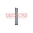 Filtre, air de l'habitacle KAMOKA F505901 - Visuel 1
