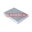Filtre, air de l'habitacle KAMOKA F509401 - Visuel 1