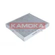 Filtre, air de l'habitacle KAMOKA F509701 - Visuel 1