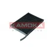 Filtre, air de l'habitacle KAMOKA F519601 - Visuel 1