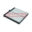 Filtre, air de l'habitacle KAMOKA F419601 - Visuel 2