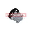 Pompe hydraulique, direction KAMOKA PP068 - Visuel 3