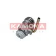 Pompe hydraulique, direction KAMOKA PP198 - Visuel 3