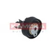 Poulie-tendeur, courroie de distribution KAMOKA R0118 - Visuel 1