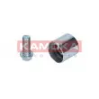 Amortisseur de vibrations, courroie de distribution KAMOKA R0201 - Visuel 1