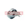 Poulie-tendeur, courroie trapézoïdale à nervures KAMOKA R0267 - Visuel 1