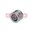Poulie roue libre, alternateur KAMOKA RC033 - Visuel 1