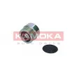 Poulie roue libre, alternateur KAMOKA RC043 - Visuel 1
