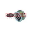 Poulie roue libre, alternateur KAMOKA RC116 - Visuel 3