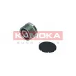 Poulie roue libre, alternateur KAMOKA RC143 - Visuel 1