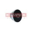 Poulie roue libre, alternateur KAMOKA RC152 - Visuel 3