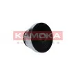 Poulie roue libre, alternateur KAMOKA RC153 - Visuel 2