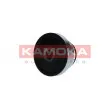 Poulie roue libre, alternateur KAMOKA RC153 - Visuel 3