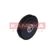 Poulie, vilebrequin KAMOKA RW009 - Visuel 1