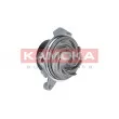 Pompe à eau KAMOKA T0001 - Visuel 1