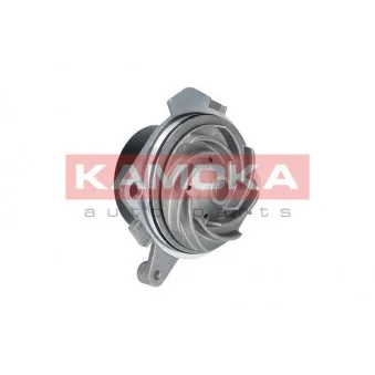 Pompe à eau KAMOKA T0001