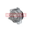 Pompe à eau KAMOKA T0001 - Visuel 2
