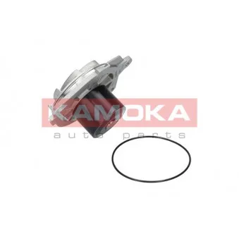 Pompe à eau KAMOKA T0002