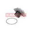 Pompe à eau KAMOKA T0002 - Visuel 2