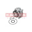 Pompe à eau KAMOKA T0007 - Visuel 2