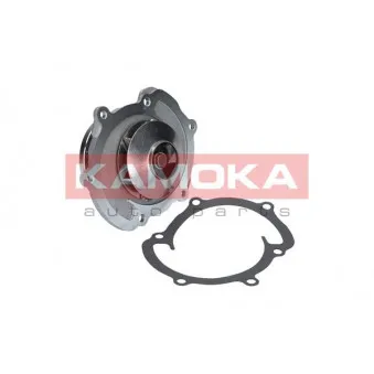 Pompe à eau KAMOKA T0008