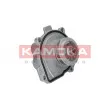 Pompe à eau KAMOKA T0009 - Visuel 1