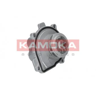Pompe à eau KAMOKA T0009