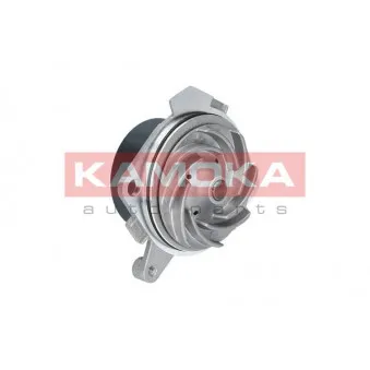 Pompe à eau KAMOKA T0012