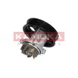 Pompe à eau KAMOKA T0014 - Visuel 2