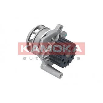 Pompe à eau KAMOKA T0020