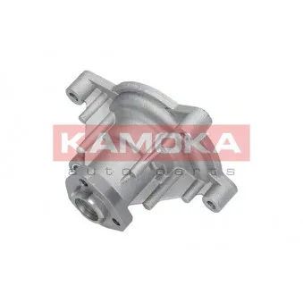 Pompe à eau KAMOKA T0021