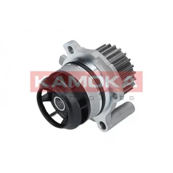 Pompe à eau KAMOKA T0022